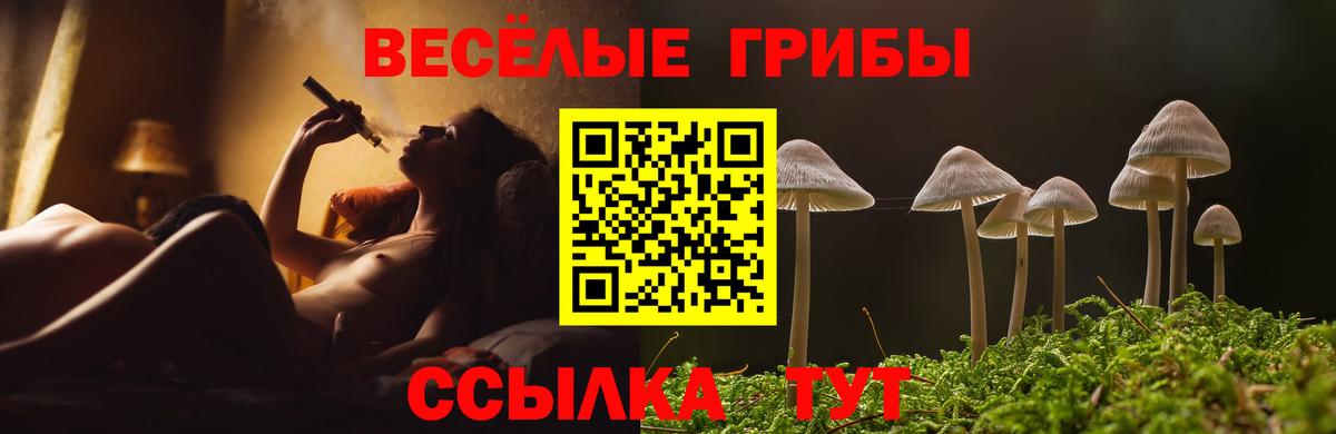 Мурино  Галлюциногенные грибы MAGIC MUSHROOMS  Вход с VPN  Галлюциногенные грибы мухоморы 